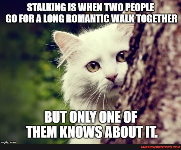STALKING IS WHEN TWO PEOPLE GO FOR ALONG ROMANTIC WALK TOGETHER
BUT ONLY ONE OF THEM KNOWS ABOUTIT