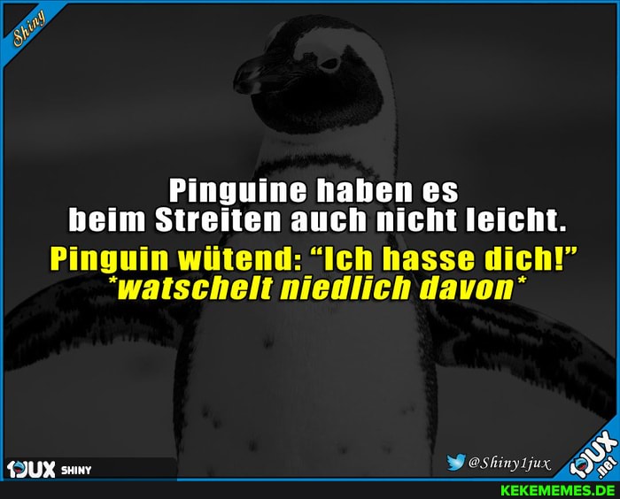 Pinguine haben es beim Streiten auch nicht leicht.
Pinguin wütend: "Ich hasse dich!"
"watschelt niedlich davon'