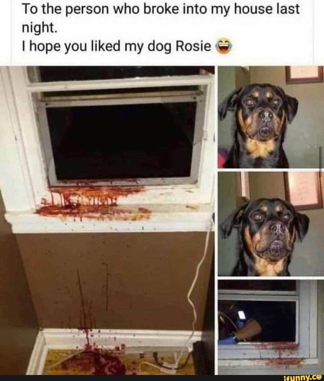 To the person who broke into my house last night.
I hope you liked my dog Rosie