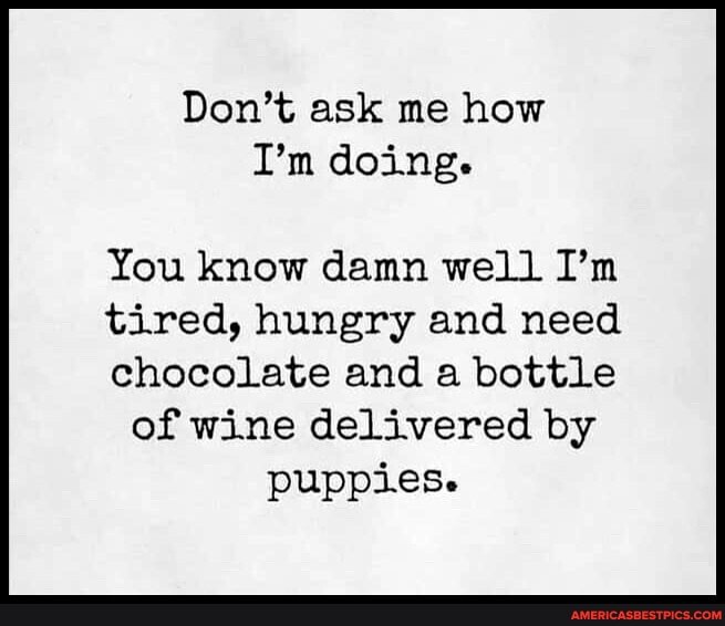 Don't ask me how
I'm doing.
You know damn well I'm tired, hungry and need chocolate and a bottle of wine delivered by puppiese