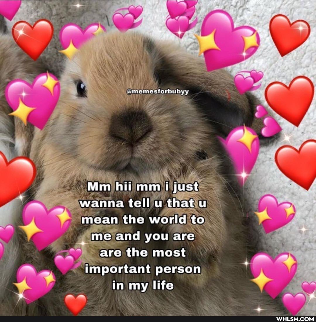 menmins foriuby yt
Mim hit mm i just wanna tell u that u mean the world to
me and you are
are the most important person in my life