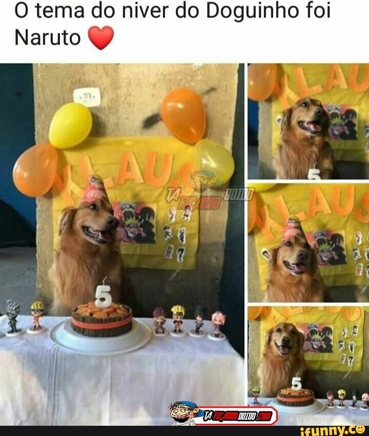 O tema do niver do Doguinho foi
Naruto