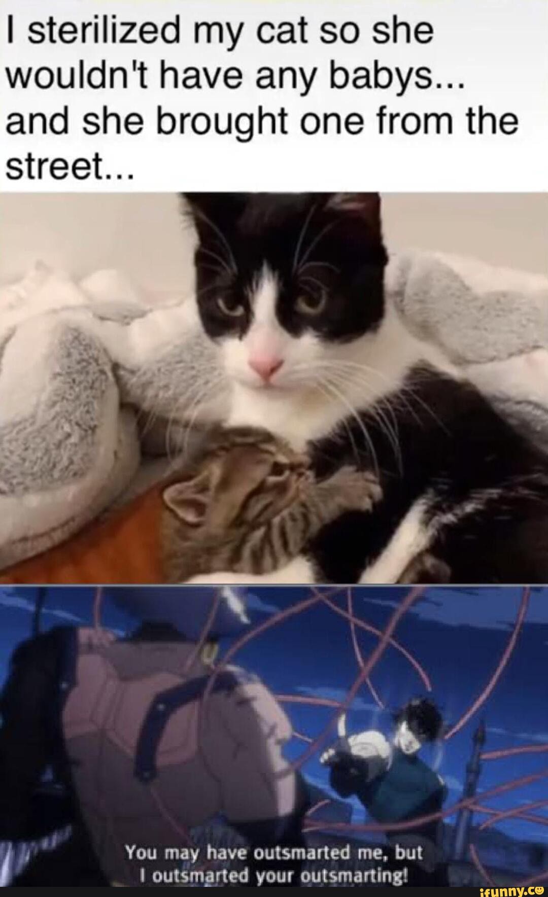I sterilized my cat so she wouldn't have any babys...
and she brought one from the street...
You may have outsmarted me, but outsmarted your outsmarting!