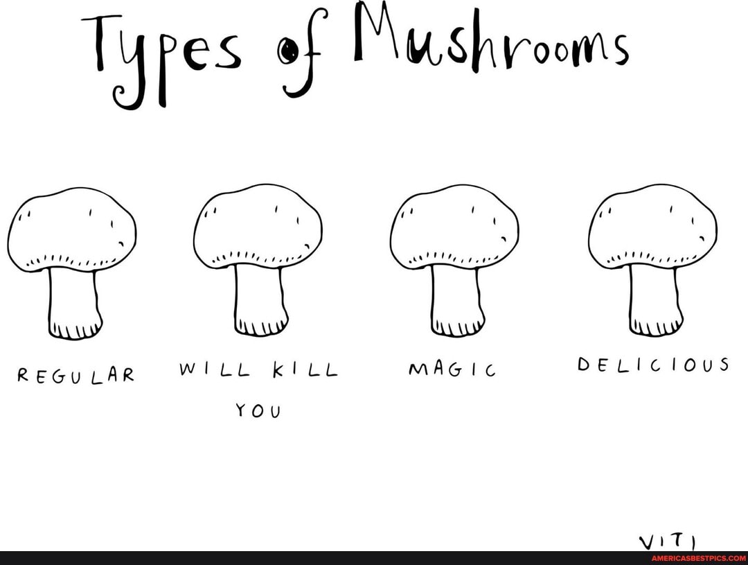res of Mushrooms
REGULAR
DELICIOUS