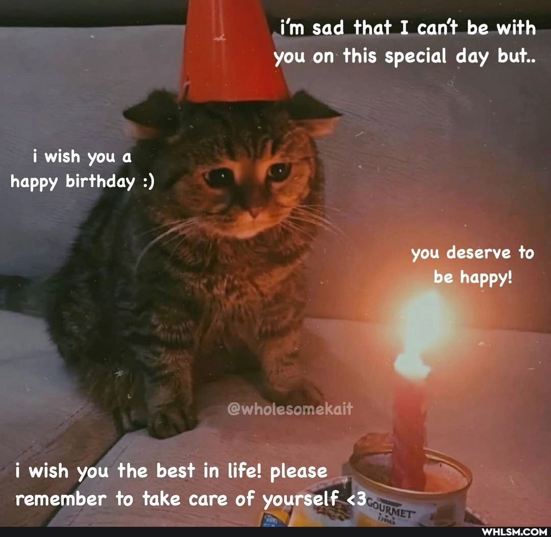 im sad that I can't be with you on this special day but..
i wish you a happy birthday
you deserve to be happy!
@wholesomekait
i wish you the best in life! please remember to take care of yourself <3