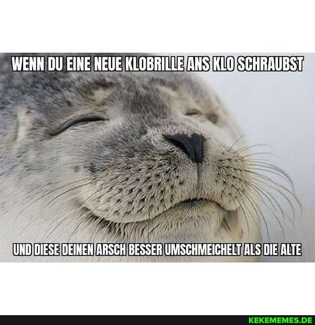 WENN DU EINE NEUE KLOBRILLE
UND DIESE DEIKEN ARSCH BESSER UMSCHMEICHELT ALS DIE ALTE