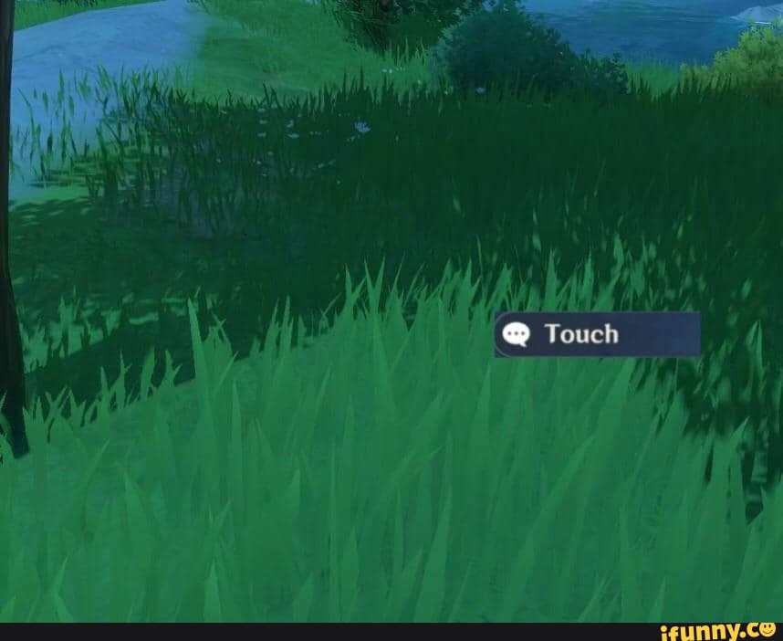 Touch some grass