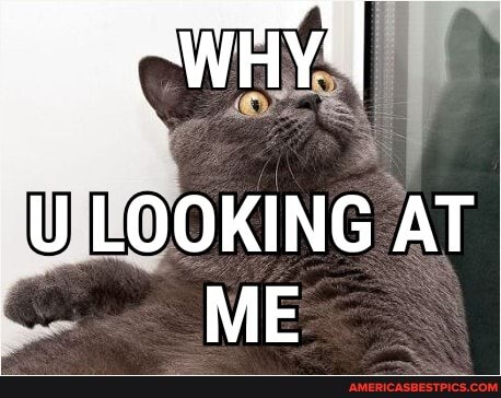 LOOKING AT ME