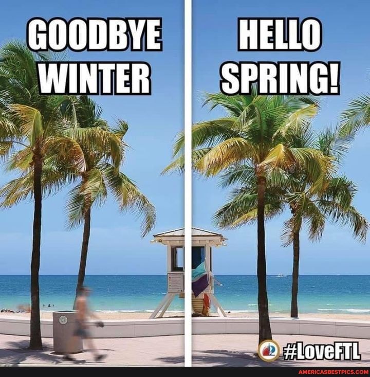 GOODBYE HELLO WINTER I SPRING!
FY