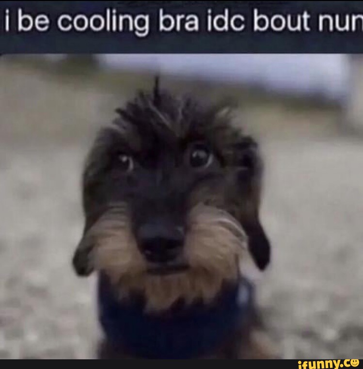 I be cooling bra idc bout nu - iFunny