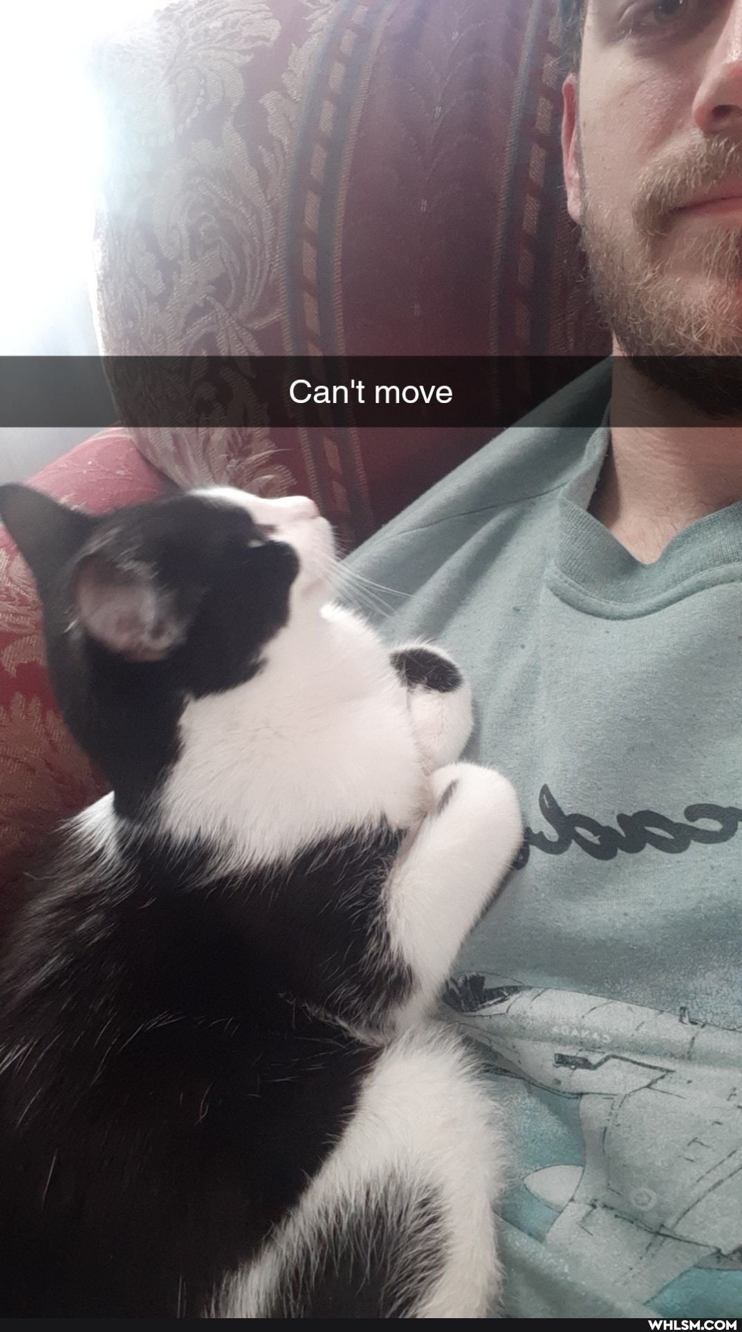 Can't move