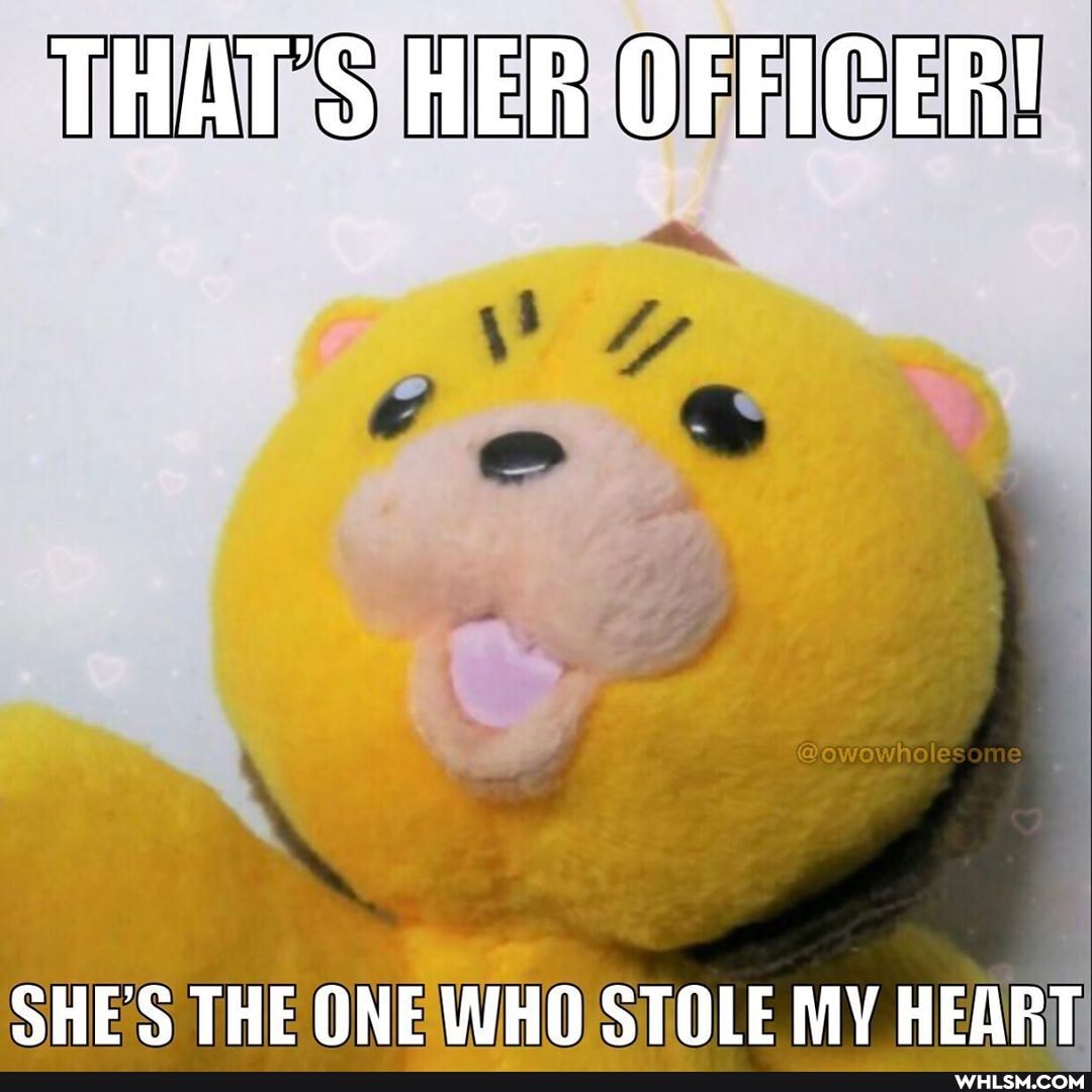 THAT'S HER OFFICER!
SHE'S THE ONE WHO STOLE MY HEART