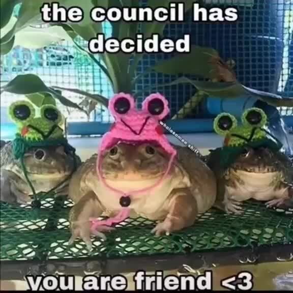 The council has decided ap - )