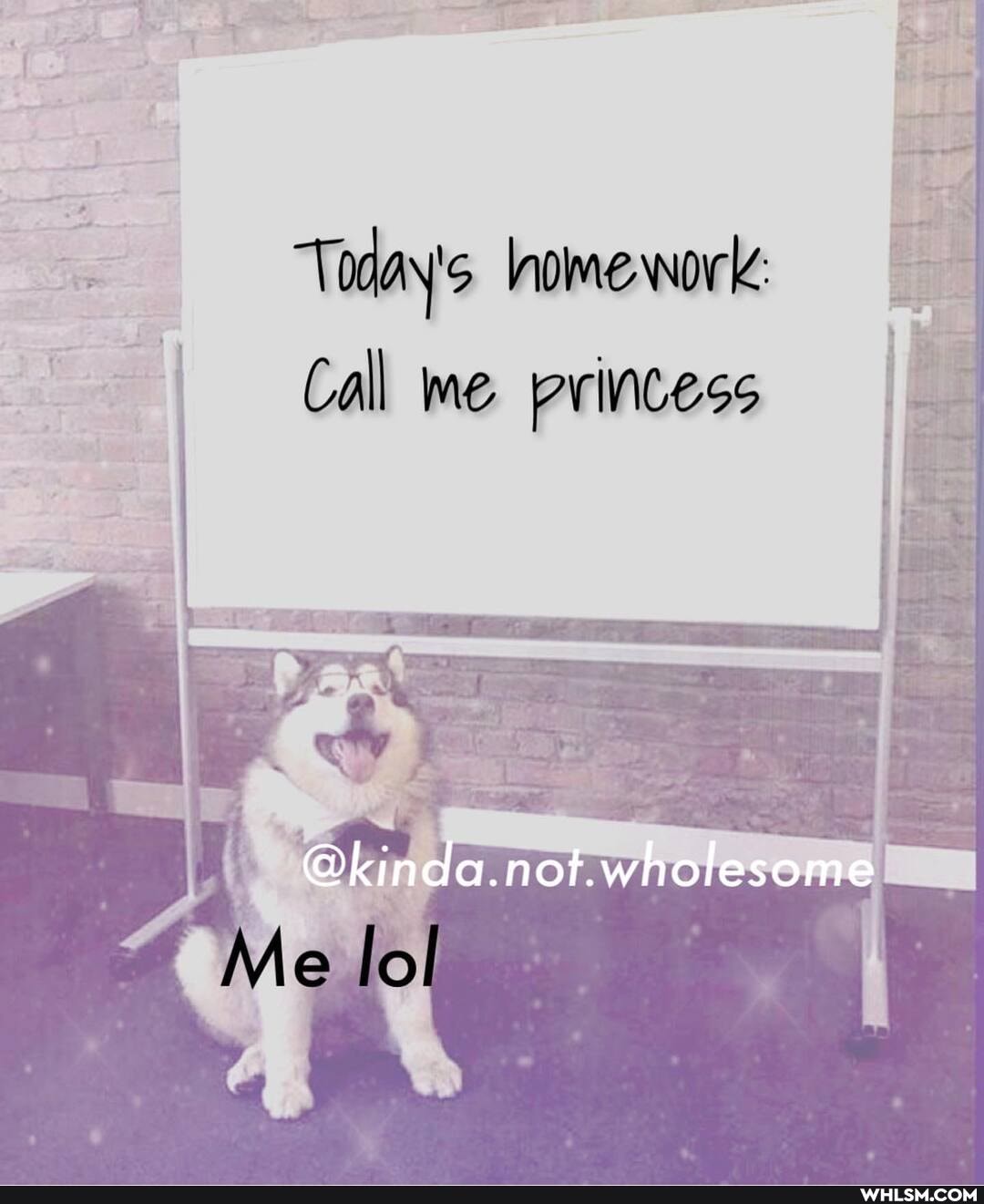 Today's homework
Call me princess
Me loll