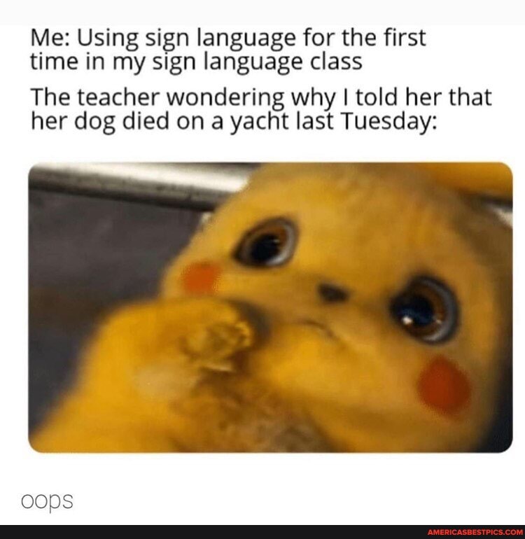 Me: Using sign language for the first time in my sign language class
The teacher wondering why I told her that her dog died on a yacht last Tuesday: