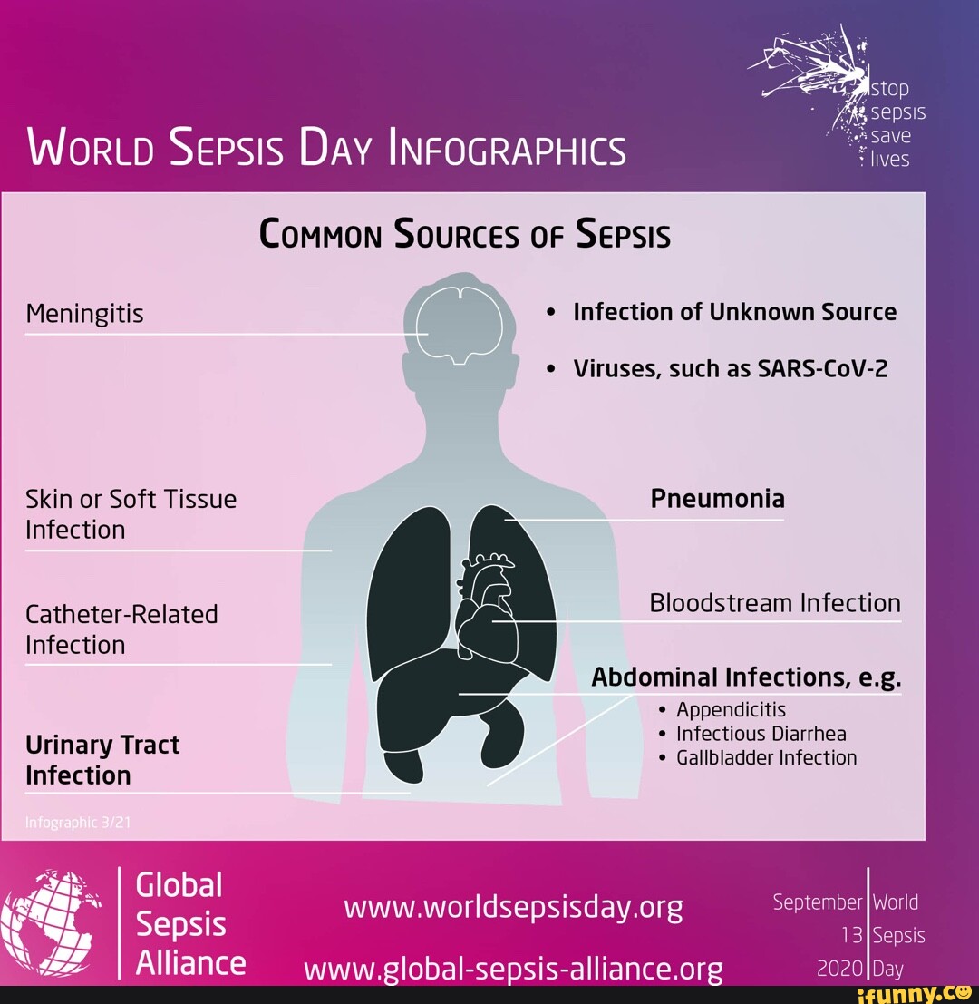 WorLD Sepsis Day INFOGRAPHICS Common Sources OF Sepsis Meningitis ...