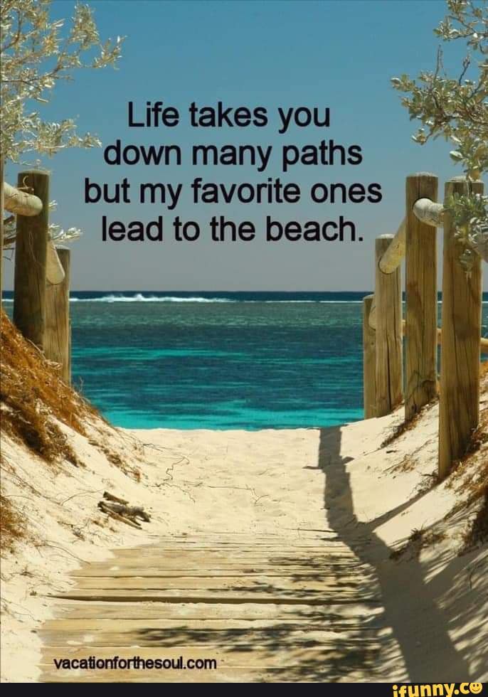 Lie takes you "down many peths but my favorite ones lead to the beach ...