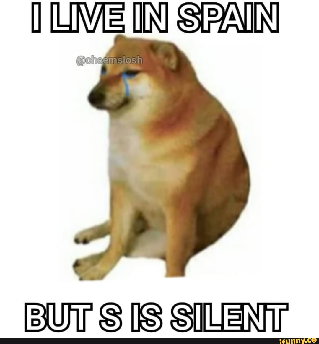 IN SPRAIN
Gememslosh
BUS SIS SILENT