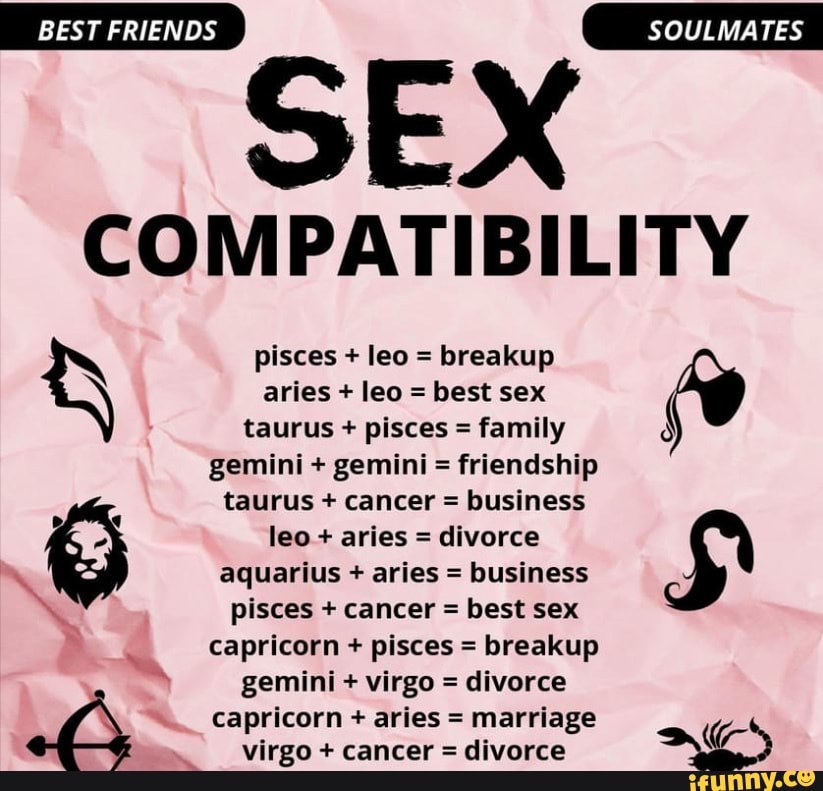 BEST FRIENDS BEST FRIENDS SOULMATES SEX COMPATIBILITY pisces + leo