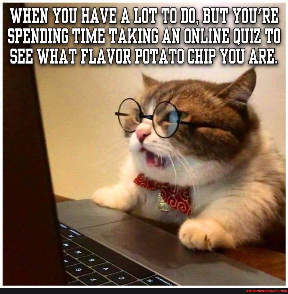 WHEN YOU HAVE A LOT TO BUT YOU'RE SPENDING TIME TAKING AN ONLINE QUIZ TO SEE WHAT FLAVOR POTATO CHIP YOU ARE.