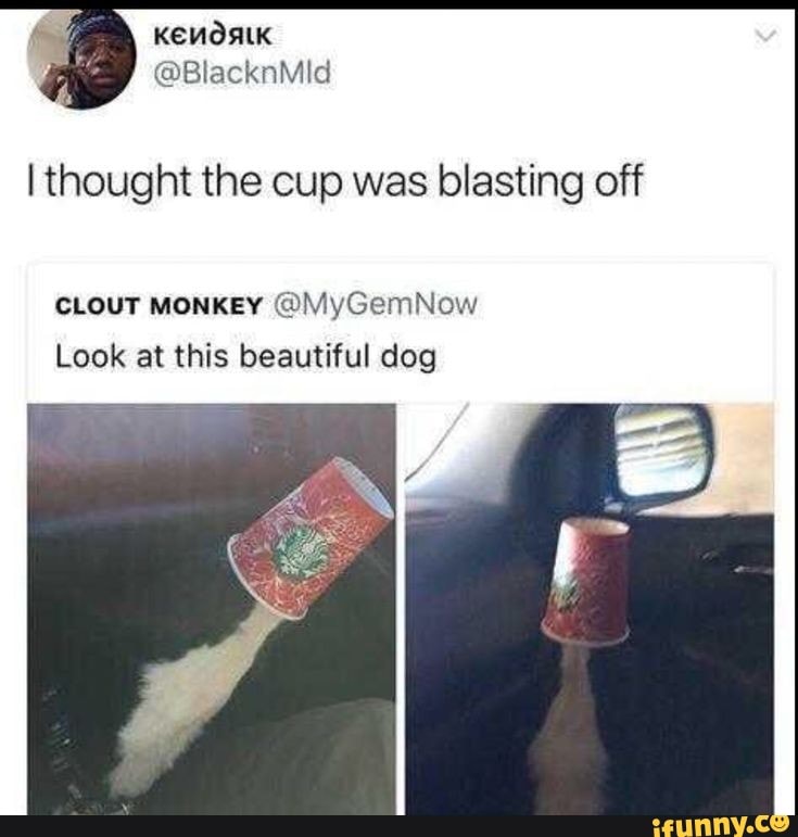 @BlacknMid
I thought the cup was blasting off
CLOUT MONKEY Look at this beautiful dog