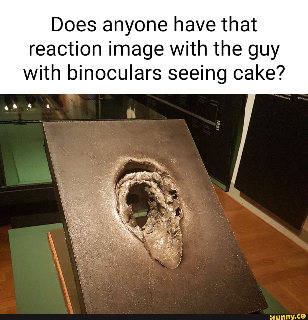 Binoculars memes. Best Collection of funny Binoculars pictures on iFunny