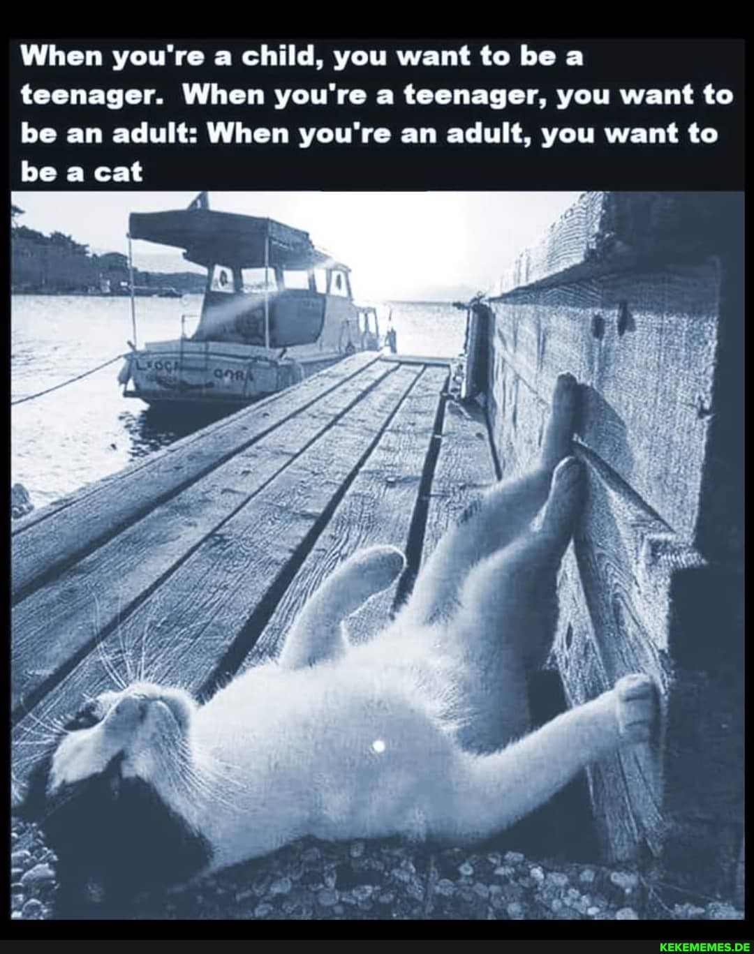When you're a child, you want to be a teenager. When you're a teenager, you want to be an adult: When you're an adult, you want to be a cat