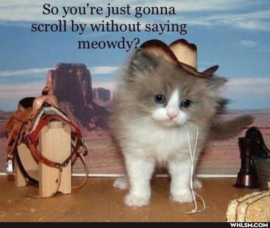 So you're just gonna scroll by without saying meowdy
