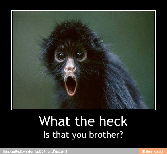 Is that you brother? - What the heck
Is that you brother?
