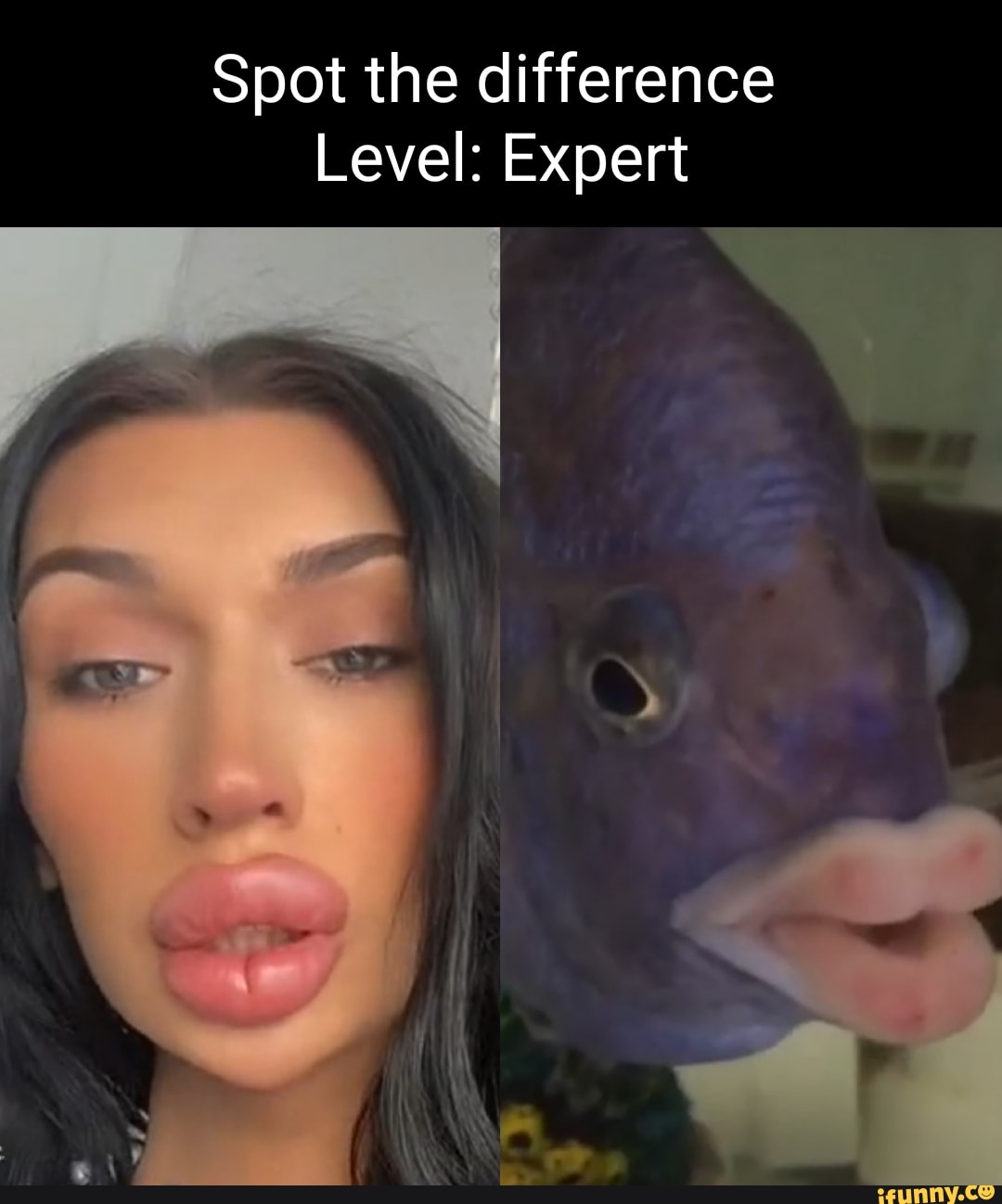 spot-the-difference-level-expert-ifunny