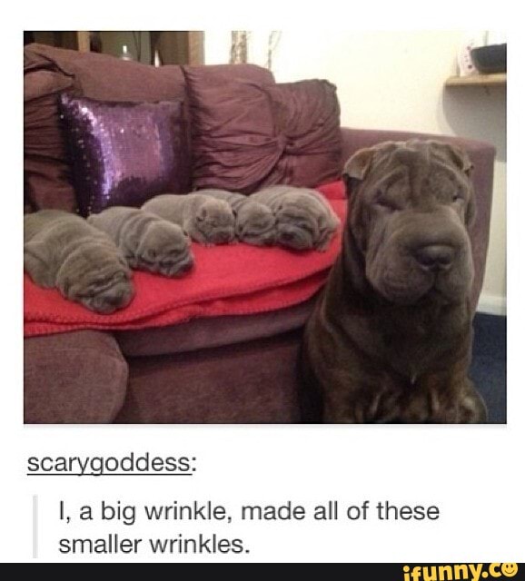 scarygoddess:
I, a big wrinkle, made all of these
smaller wrinkles.