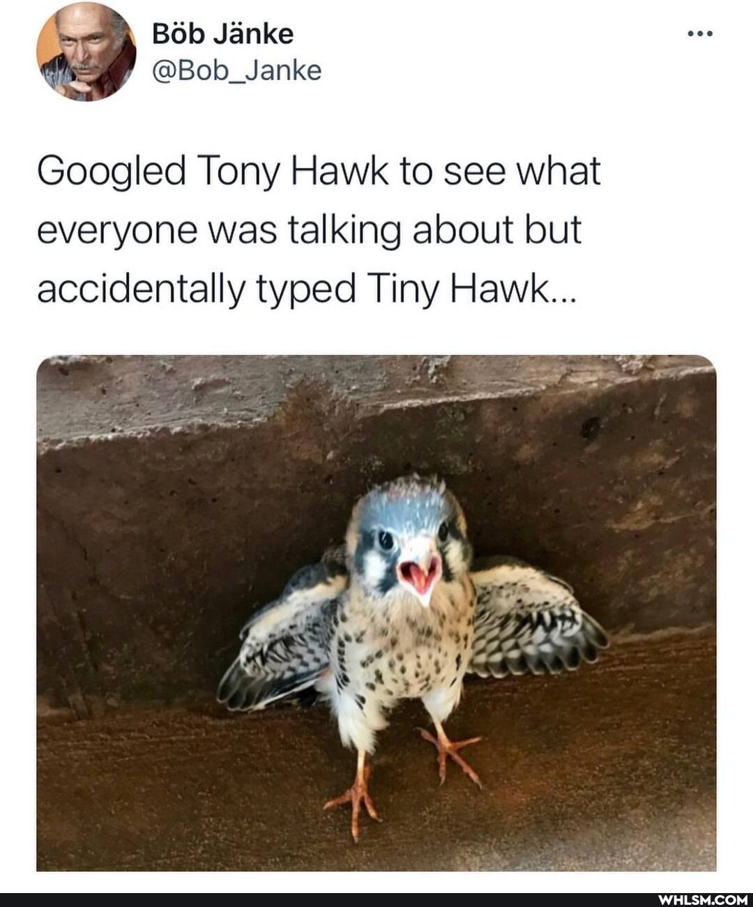 Bob Janke
@Bob_Janke
Googled Tony Hawk to see what everyone was talking about but accidentally typed Tiny Hawk...