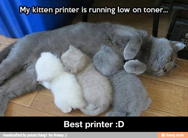 "My kitten printer is running low on toner...
Best printer :D - Best printer :D