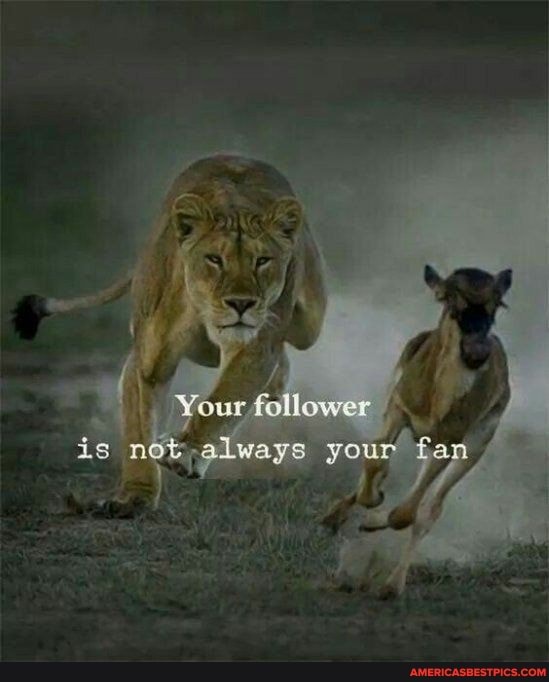 Your follower
is not,always your f