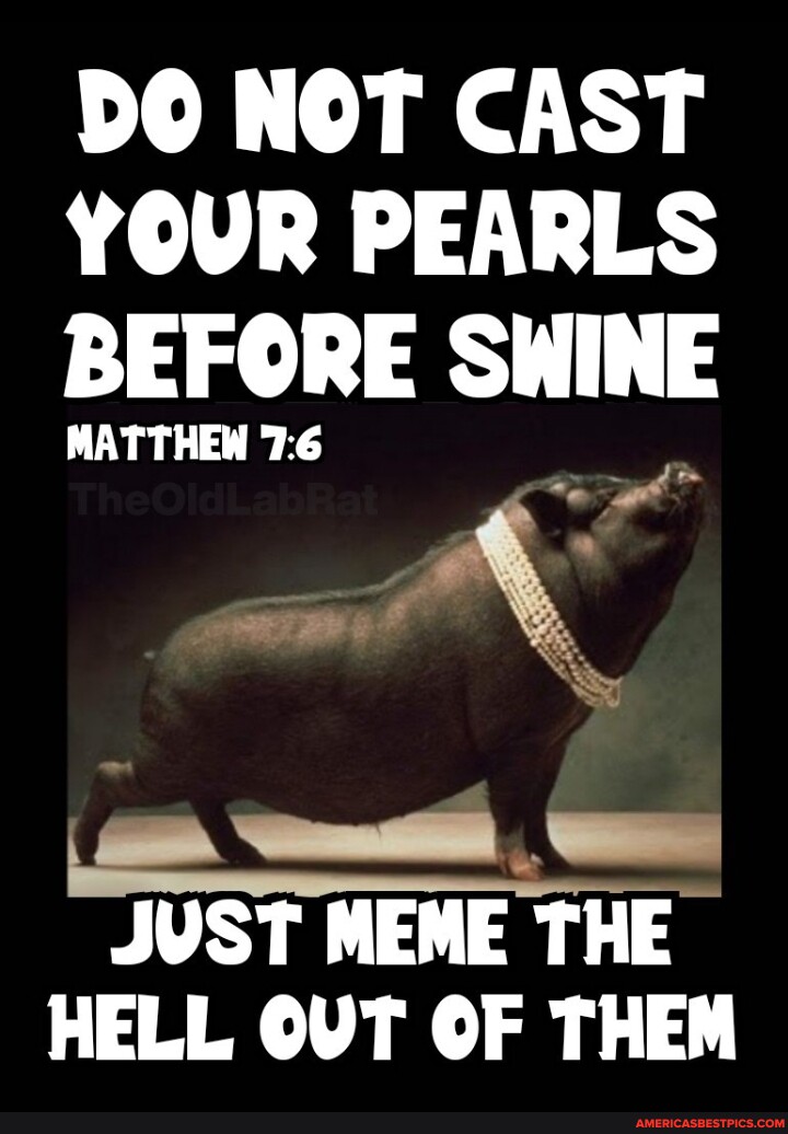 DO NOT CAST YOUR PEARLS BEFORE SWINE MATTHEW JUST MEME THE HELL OUT OF