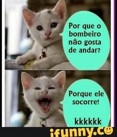animes, animais, minecraft
