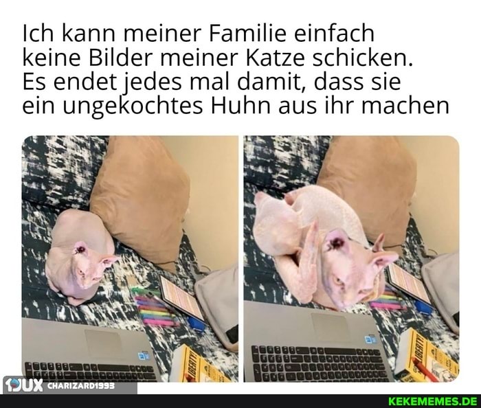Ich kann meiner Familie einfach
keine Bilder meiner Katze schicken.
Es endet jedes mal damit, dass sie
ein ungekochtes Huhn aus ihr machen