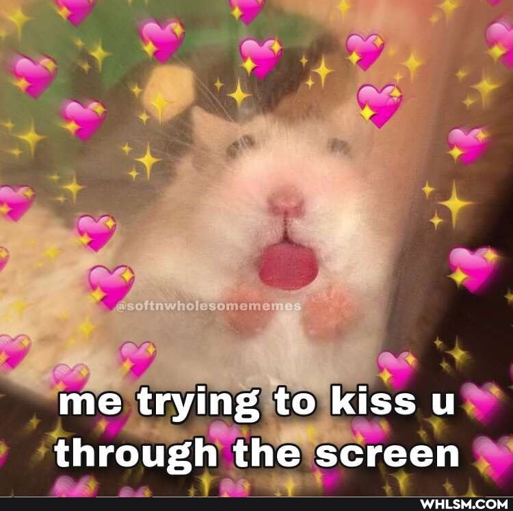 who somome
me trying to kiss u through the screen