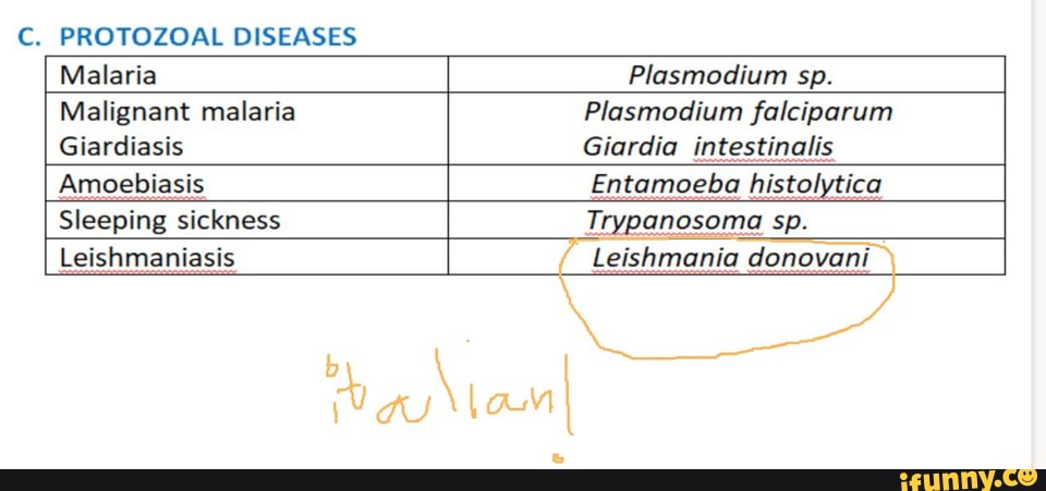 Trypanosoma memes. Best Collection of funny Trypanosoma pictures on iFunny