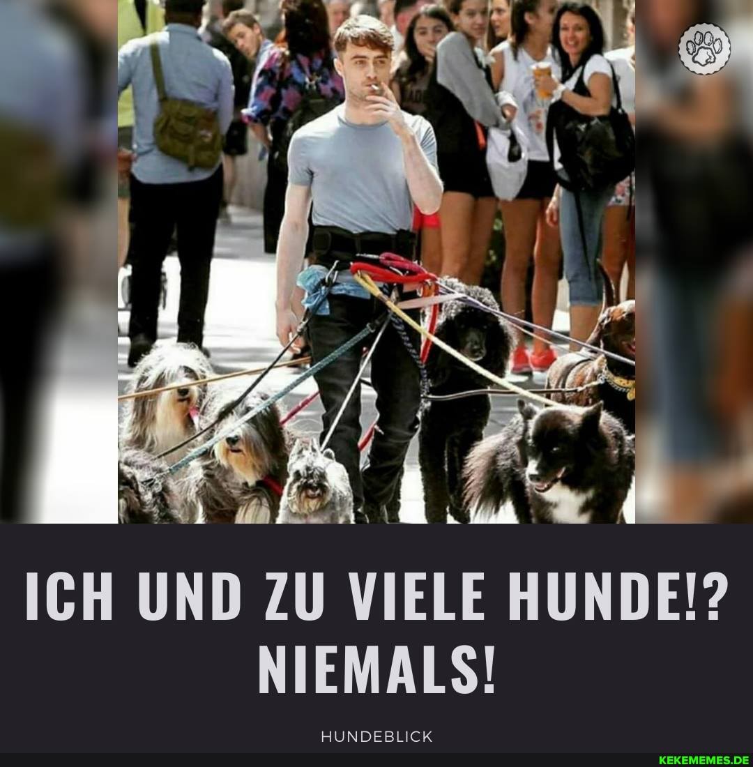 ICH UND ZU VIELE HUNDE!?
NIEMALS!
UININIDERIICK