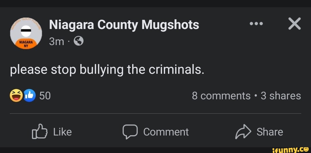 Niagara County Mugshots please stop bullying the criminals. 50 8