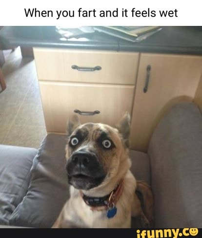 When you fart and it feels wet