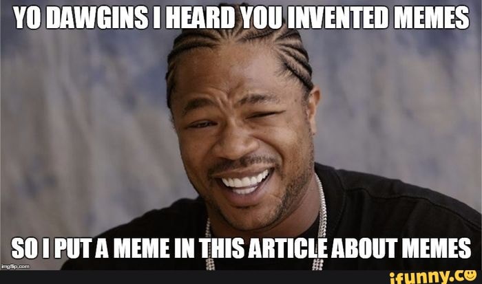YO DAWGINS HEARD YOU INVENTED MEMES PUT A MEME IN THIS ARTICLE ABOUT ...