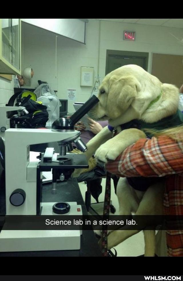 ience lab in a science ence