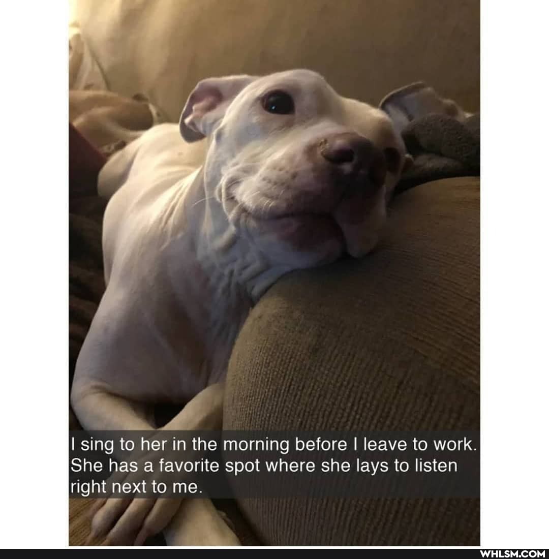 sing to her in the morning before I leave to work
She has a favorite spot where she lays to listen right next to me.
