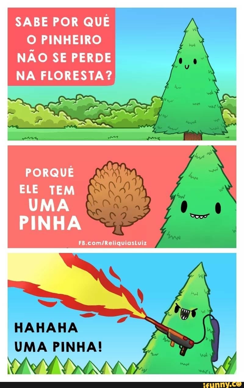 SABE POR QUÊ O PINHEIRO NÃO SE PERDE NA FLORESTA? PORQUÊ ELE TEM UMA