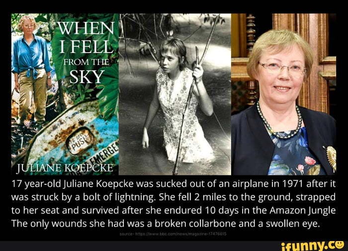 17 year: old Juliane Koepcke was sucked out of an airplane in 1971 ...
