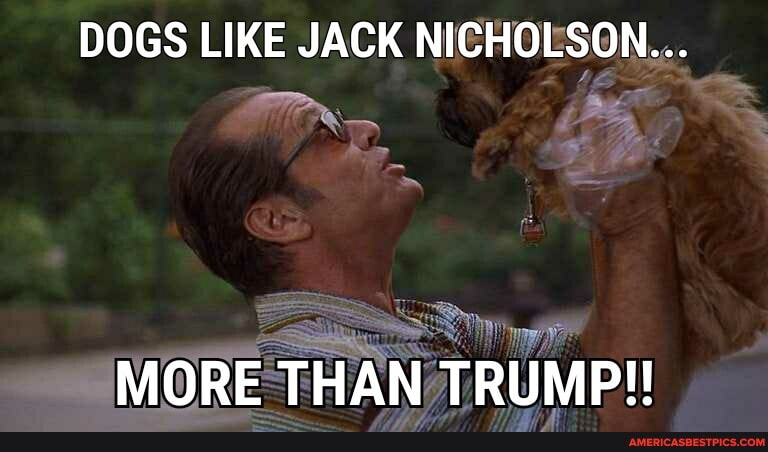 DOGS LIKE JACK NICHOLSON...
MORE THAN TRUMP!!