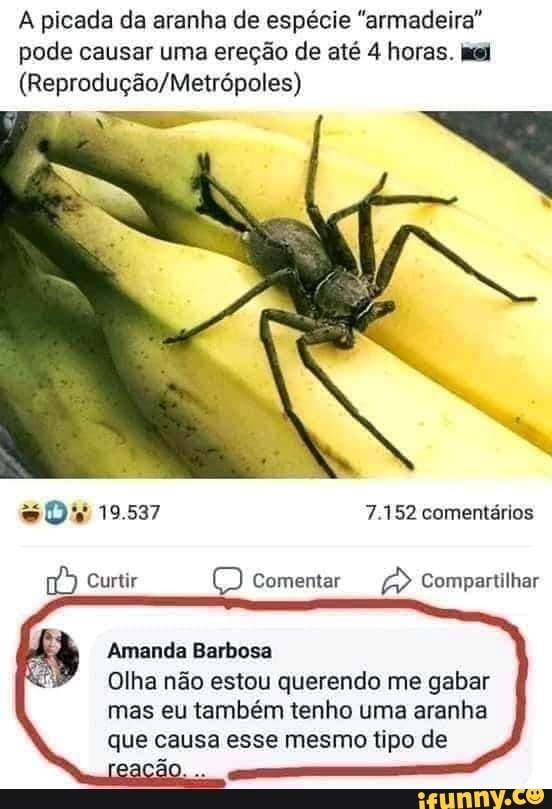 A picada da aranha de espécie "armadeira" pode causar uma ereção de até 4 horas.
19.537
7.152 comentários
Curtir Comentar Compartilhar
Amanda Barbosa
Olha não estou querendo me gabar
mas eu também tenho uma aranha que causa esse mesmo tipo de