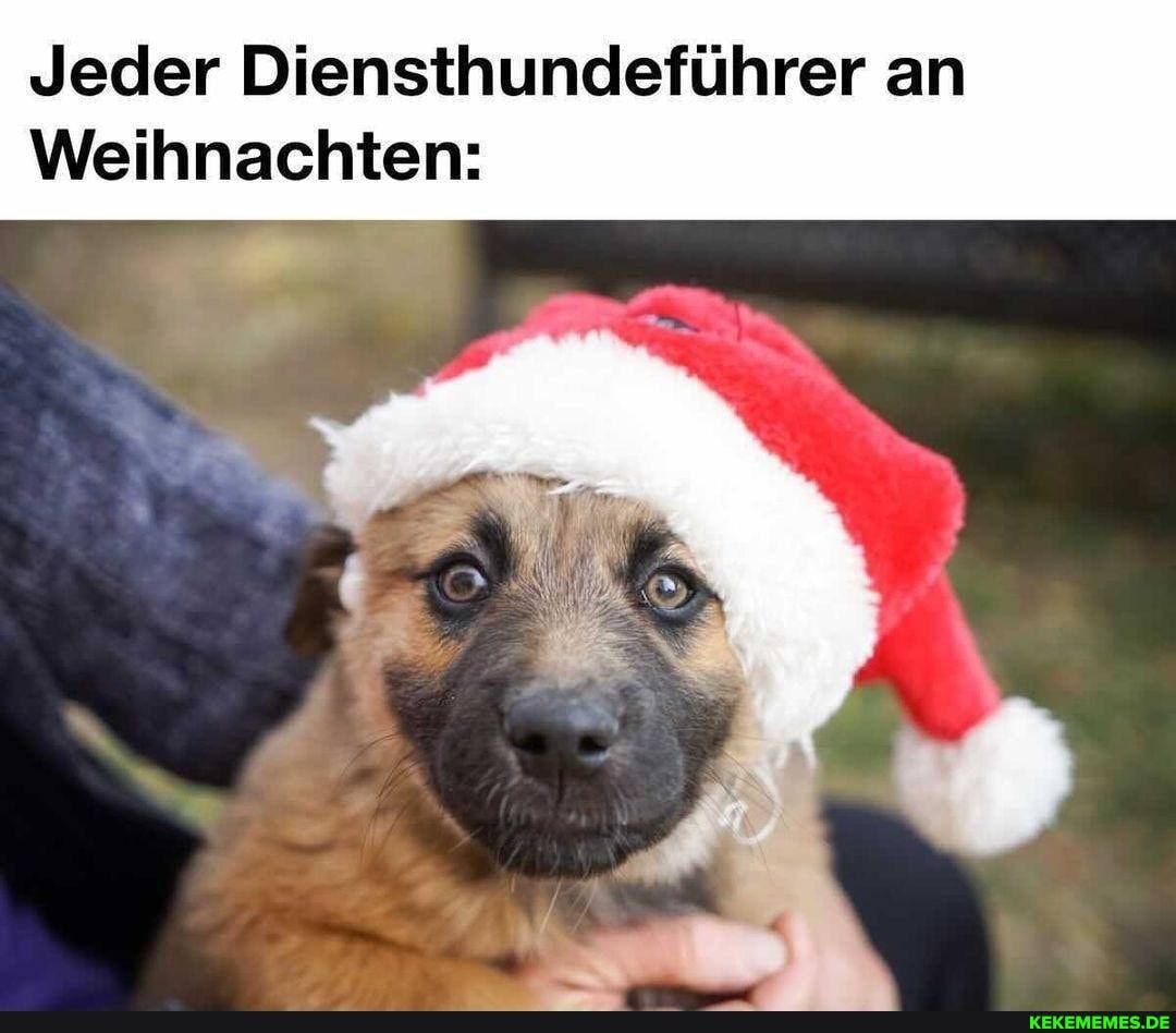 Jeder Diensthundeführer an
Weihnachten: